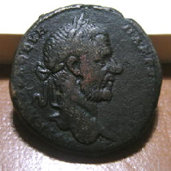macrinus-a.jpg
