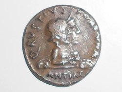 11169716_770189166422531_4539747228584857782_o.jpg (63.84 KiB) 1592 mal betrachtet 11169716_770189166422531_4539747228584857782_o.jpg