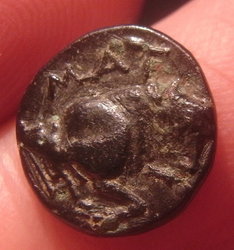 RIMG0006.JPG