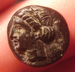 RIMG0005.JPG