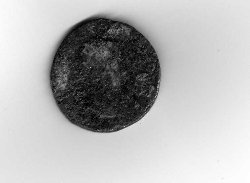 img018.jpg