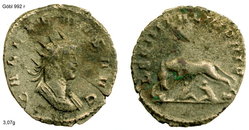 gallienus leg II ital.jpg