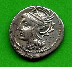 104 v. Chr. Denar. C. Coilius Caldus. Av. Romakopf li. Alb. 1122a..jpg