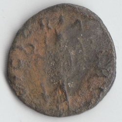 7b VICTORIA AVG.jpg