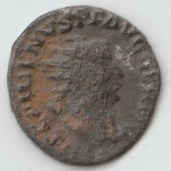 7a.jpg