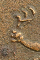 acro.jpg