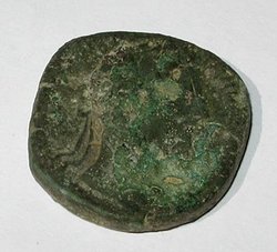 C1-1.jpg
