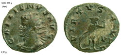 gallienus virtus avg62.jpg