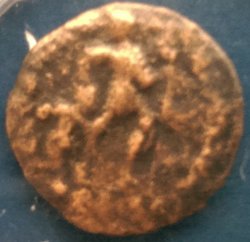 IMAG2246.jpg