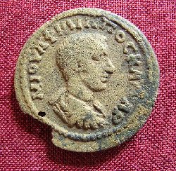 phil2-anaz-capric-a.JPG