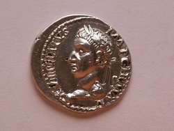 Vit 002.JPG