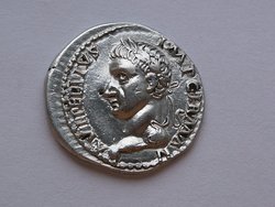 vit 003.JPG