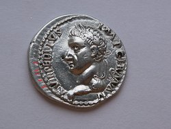 vit 003.JPG