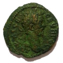 Hristova-Hoeft-Jekov 8.14.9.23 var. 193-211 Septimius Severus_Av.jpg