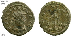 gallienus provident avg3.jpg