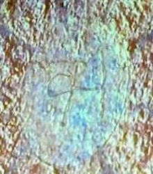Amphipolis-Tomb_Monogram.jpg