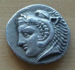 P1560747.JPG