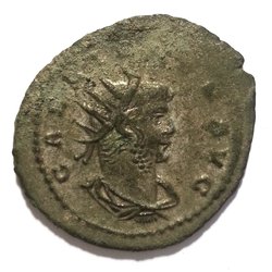 MIR 1635c 253-268 Gallienus_Av.jpg