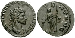 quintillus_29.jpg