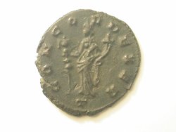DSCN6804.jpg