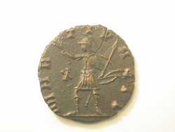 DSCN6802.jpg