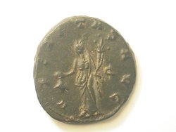 DSCN6808.jpg
