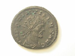 DSCN6805.jpg