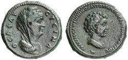 2161727.jpg