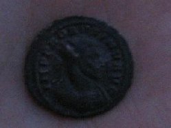 Bild 014.jpg