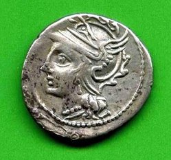 104 v. Chr. Denar. C. Coilius Caldus. Av. Romakopf li. Alb. 1122a..jpg