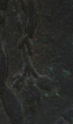 nikopolis_elagabal_HrHJ(2015)8.26.7.9corr_Detail.jpg