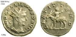 gallienus laetit temp.jpg