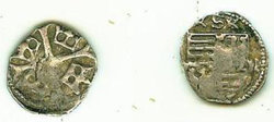 Parvus Sigis.jpg