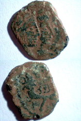 nab8.JPG