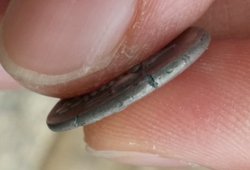20160817_101646.jpg