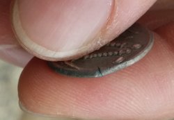 20160817_101721.jpg
