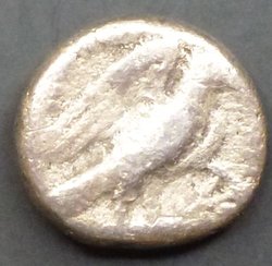 5b.jpg