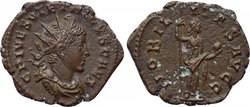 2429881l.jpg
