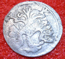 P2-2.jpg