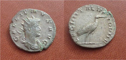 Gallienus_Storch.jpg
