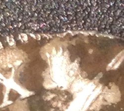 thumbnail_IMG_6315.jpg