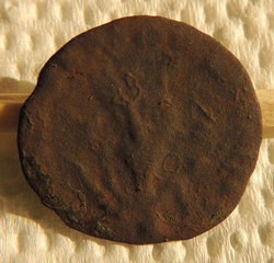 rsz_dscn5686.jpg