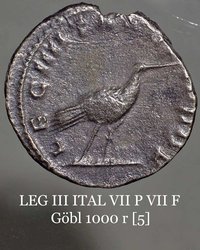 gallienus_goebl1000r_rv.jpg