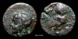 002_Eule_Un-Id_5744_n.jpg