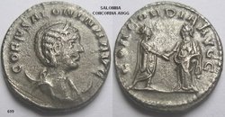 699 Salonina.jpg