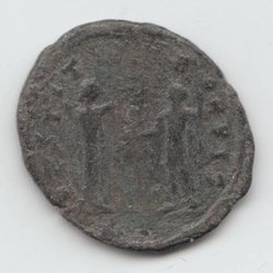 33b.jpg
