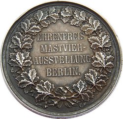 medal (Kopiowanie).jpg