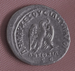 Prieur varRV.jpg