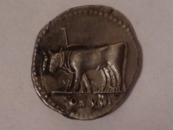 P1090744 – Kopi.JPG
