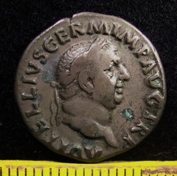 vitella-.jpg